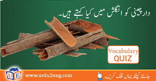 To feel contempt for a weakling. Hoot Urdu Meanings