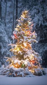 Find the best christmas snow scene wallpaper on wallpapertag. Christmas Winter Wallpaper Phone 1080x1920 Wallpaper Teahub Io