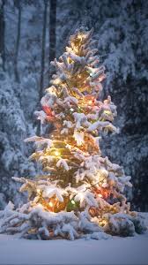 We've gathered more than 5 million images uploaded by our users and sorted them by the most popular ones. Christmas Winter Wallpaper Phone 1080x1920 Wallpaper Teahub Io