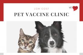 She has worked at the same animal clinic in her hometown for over 20 years. Monthly Low Cost Vaccine Clinic South Bay