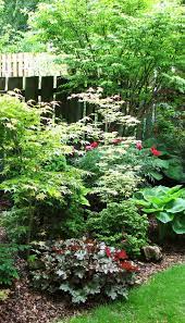 Japanese Maples Hosta Heuchera Evergreen Shrubs Gardenshrubsborder Shade Garden Shade Plants Garden Shrubs