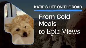 Image result for Chlorophytum calyptrocarpum