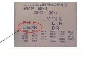 Image result for Timorbeige 1982 Fleet