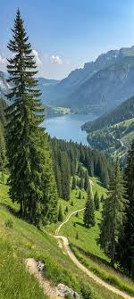 LOWELL POTTER (lowell_p)