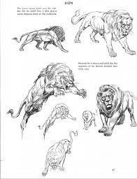 The art of animal drawing por ken hultgren , este libro es una de las mejores guías para dibujar animales. Kingdom Animalia From The Art Of Animal Drawing By Ken Hultgren