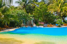 Piscine Lagon Les Prix Et Les Caracteristiques Dev Construire Sa Piscine Com