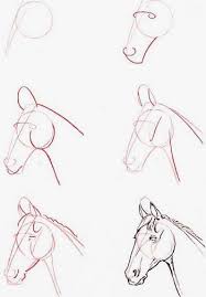 Disegni Da Copiare Settemuse It Disegni Di Cavalli Disegno Di Cavallo Disegni
