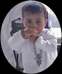 All 60 of the 2021 dog attack human fatalities (U.S. & Canada)