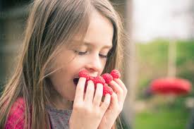 Girl eating raspberries from her fingers stock photo