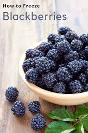 This is known as flash freezing and will ensure that the berries freeze individually, rather than in big, unmanageable clumps. How To Freeze Blackberries