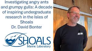 Investigating angry ants and grumpy gulls