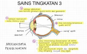 Land and its resources chapter 7: Nota Sains Tingkatan 3 Topic Ibnusina Tuition Facebook
