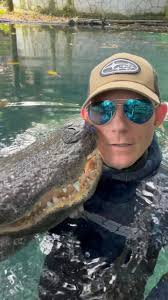 Boys will be boys! It's that time of year and our breeding marsh is full of  action! #gatorland #alligator #bellow 🔴 This is very natural alligator  behavior for this time of year