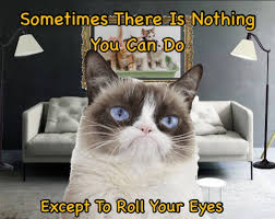 Grumpy Cat Does Not Know What To Do Except To Roll Her Eyes Grumpycat Grumpy Cat Humor Grumpy Cat Meme Funny Cat Memes