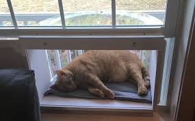 Making a cozy spot for your pet. How To Build A Cat Window Box With These Diy Ideas