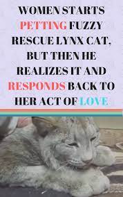 Women Starts Petting Fuzzy Rescue Lynx Cat But Then He Realizes It And Responds Back To Her Act Of Love Cats And Kittens Stories Why Do Cats Purr Cats Pets
