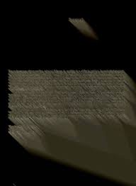 Image result for Cylindropsis parvifolia