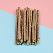 You can also burn cinnamon sticks inside your home as a smudge stick. 15pcs Natural Catnip Cat Snacks Sticks Actinidia Silvervine Cleaning Tooth Pet Toy For Cat Toys Supplies Cat Toys Aliexpress