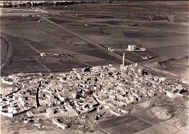 أطلالة بانورامية على مدينة الموصل الحدباء فك الله اسرها عام 1929 م الطبيب الموصلي الدكتور كريكور استرجيان وهو تحفه معمارية بحد ذاتها iraq city photo aerial