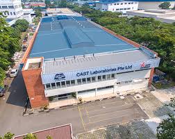 Consulting (it, science, engineering & technical). Home Cast Laboratories