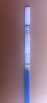 Die fruchtbare phase liegt ja ungefähr in der zyklusmitte, und damit 14 tage vor der blutung. Schwangerschaftstest Babytest Positiv Familie Schwangerschaft Gynakologie