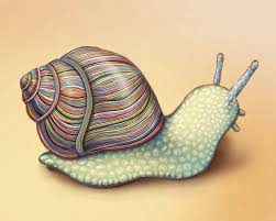 10 x 8 escargot colore mur d archives art print de par libbylamb dessin insecte coloriage thanksgiving novembre