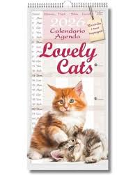 Image result for calendari