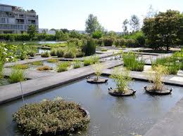 Un plan d'eau qui regroupe les plantes aquatiques ; Le Jardin Botanique Rend Aux Arbres Leur Liberte Vivre Bordeaux