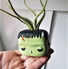 Frankenstein And Bride Gift Classic Monster Movie Air Plant Etsy Bride Gifts Air Plant Holder Plant Holders