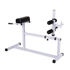 tomshoo hyperextension bench adjustable multiworkout abdominal back exercise hyper extension roman bench chair home at home workouts back exercises chair bench