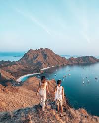 Padar Island Indonesia In 2020 Komodo National Park Island Tour Indonesia