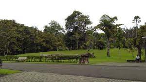 Sebuah tanah lapang besar di samping rumah dua ekor sapi, sepasang lembu dan tiga ekor kambing. Tanah Lapang Picture Of Kebun Raya Purwodadi Pasuruan Tripadvisor