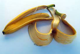 We did not find results for: Bananenschale Definisi Bananenschale Dalam Kamus Chichewa