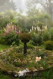 A Rose Affair Photo C Helene Flont Jardin Beaux Jardins Jardins Jardin Romantique