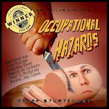 Amazon.com: Occupational Hazards: The Blue-Collar Omnibus (Audible Audio  Edition): Geoff Sturtevant, John McLain, Jonathan Sleep, Steven Jay Cohen,  Paul J. McSorley, Ramon de Ocampo, Geoff Sturtevant, Flexfiction: Books