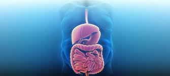 The bariatric center of kansas city is a nationally renowned laparoscopic weight loss surgery center providing high quality bariatric care. Advanced Bariatric Surgery First Baptist Medical Center