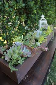 Live Succulent Long Wood Box Table Centerpiece Home Decor Plant Centerpieces Outdoor Table Centerpieces Succulents