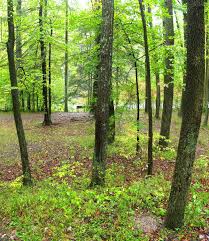 Lots of fishing, swimming and you can rent kayaks or paddle boats. Poe Paddy State Park Wikipedia