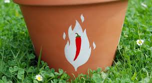 In this tutorial for how to paint terracotta pots you'll also learn: Diy Painted Terracotta Pot Stay Roam