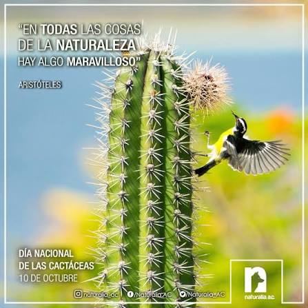 En todas las cosas de la naturaleza hay algo maravilloso” - Aristóteles