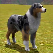 Beach style furniture stores australian shepherd. Australian Shepherd Improved By Littlev The Exchange Community The Sims 3