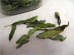 How To Air Dry Basil 7 Steps With Pictures Instructables