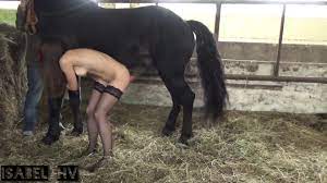 Porn con caballo