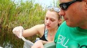 Navigating educational 'Journeys'