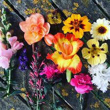 For those who prefer to consume hash, it can be mixed with food as an edible or drink with a hot beverage. 5 Unusual Edible Flowers For You To Try Michael Perry Mr Plant Geek