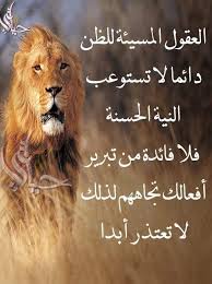 Pin By فلسطينية ولي الفخر On روائع الحكم Wisdom Animals