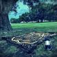 Ghost Stories, Legends, & Lore at Album Park (FREE EVENT)