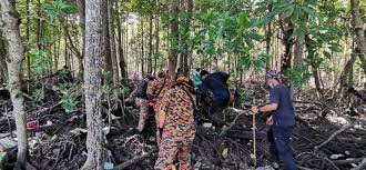 Berikut adalah memory di hutan bakau pohuwato, tepatnya di wisata bakau pohon cinta marisa.konten kali ini baru tau rupanya selain daripada menghalang tsunami, hutan paya bakau juga boleh jadi video kali ini kita melihat aksi bang haji tangkap kepiting di hutan bakau kalimantan. Lelaki Indonesia Hilang Di Paya Bakau