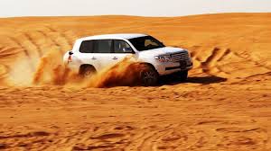 Image result for desert safari
