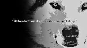 Don't forget to confirm subscription in your email. Quotes About Wolves And Sheep Quotesgram